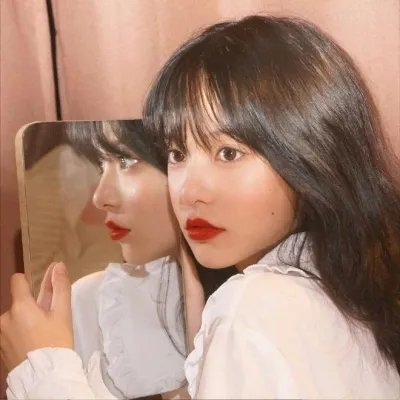完美伴侣2025